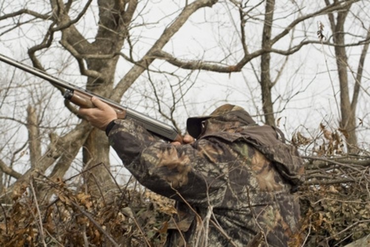 duck hunter image by cherie from Fotolia.com Ohio's five wildlife districts provide hunters with many acres of public hunting land