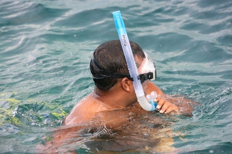 snorkel image by Ahmed Zahir from Fotolia.com This snorkeler has his snorkel on the right side of the mask.