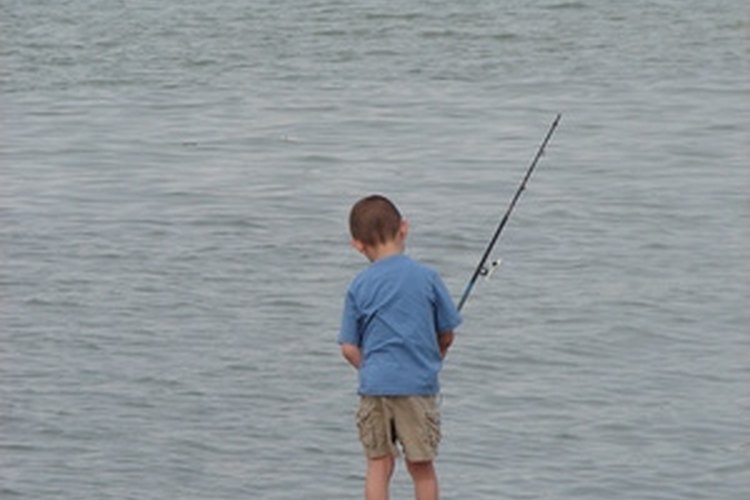 fishing alone image by Pix by Marti from Fotolia.com The Zebco 202 is a good fishing reel for beginners to learn the sport.
