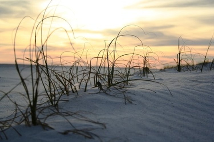 sandy beach scene on pensacola beach image by Edward Cooper from Fotolia.com Relax on the white sands of Alligator Point, Fla., with a day of quiet fishing.