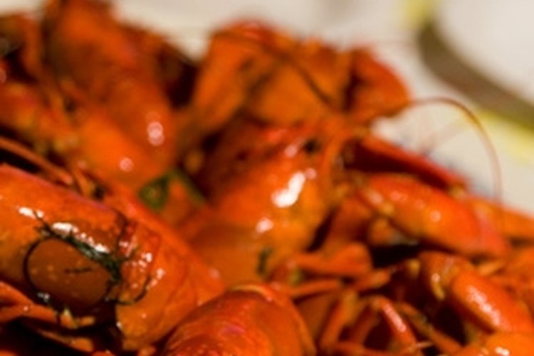 crayfish image by imrek from Fotolia.com Washinton state is home to freshwater lobster.