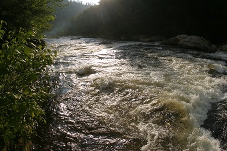 river image by blaine stiger from Fotolia.com Net fishing does not require the use of bait.