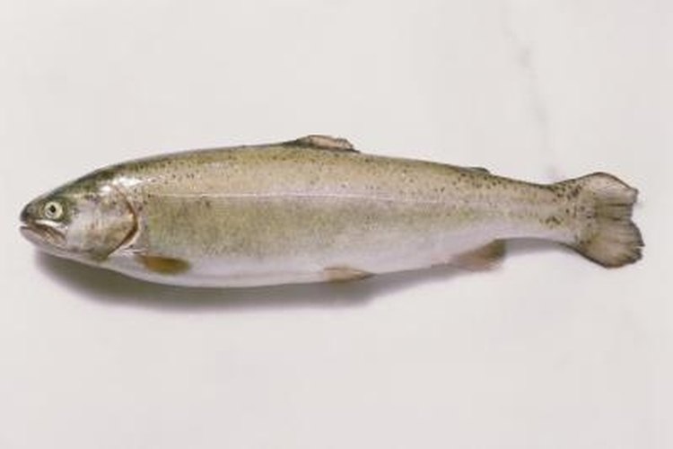 Eising/Photodisc/Getty Images Add tang to trout, salmon and other seafood by smoking.