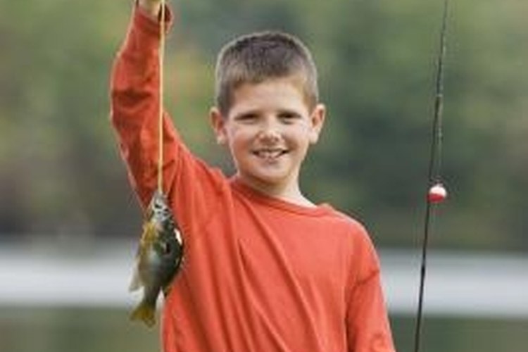 Jupiterimages/Comstock/Getty Images Zebco Ready Tackle rods and reels are made for young fishermen.