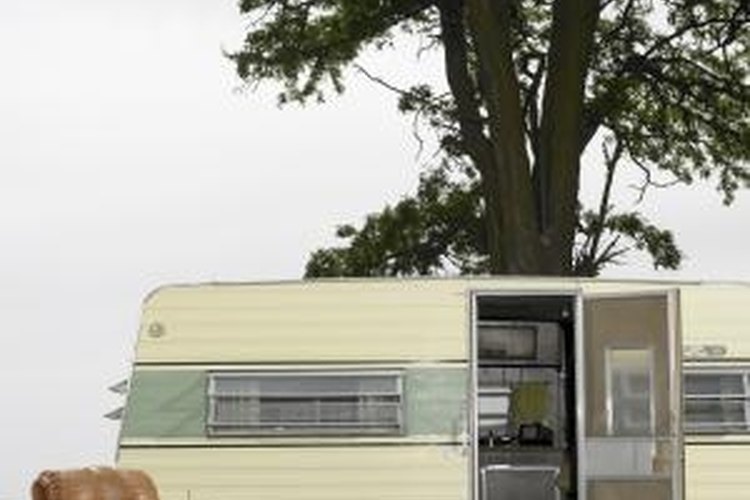 Andy Reynolds/Lifesize/Getty Images Travel trailers are registered like automobiles and utility trailers.