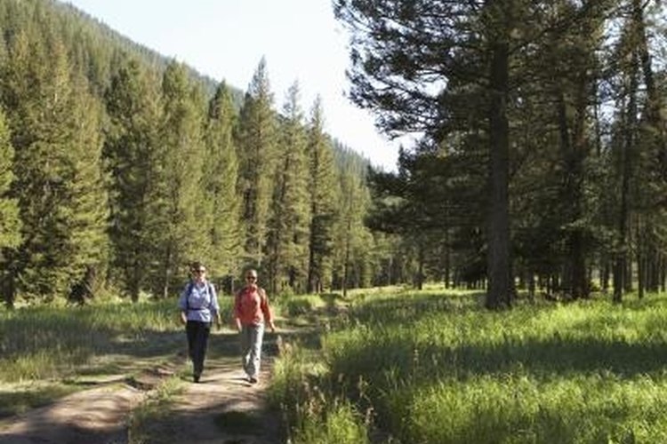 Stephen Schauer/Digital Vision/Getty Images Trail building requires sensitivity to the landscape and waterways.