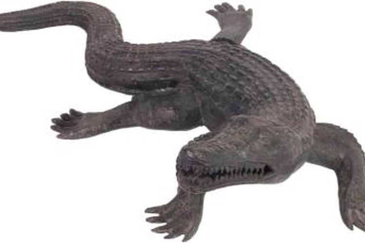 Hemera Technologies/PhotoObjects.net/Getty Images Tan an alligator hide so that purses, shoes or trophy mounts can be made from the hide.