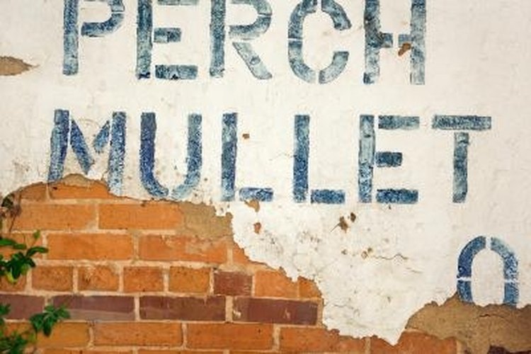 Jupiterimages/Photos.com/Getty Images Catch mullet on your own instead of purchasing from fish markets.