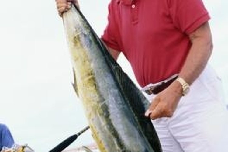 Steve Mason/Photodisc/Getty Images Anglers commonly use mooching rigs when targeting saltwater fish.