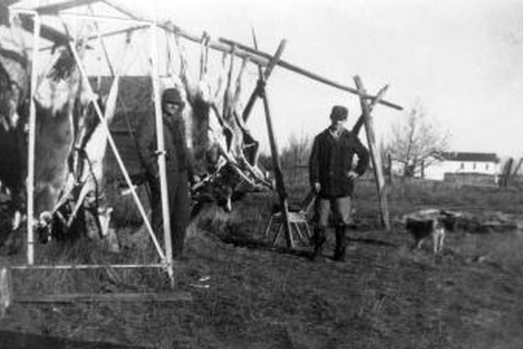 Thinkstock/Comstock/Getty Images Build your own modern deer hoist to process game easily.