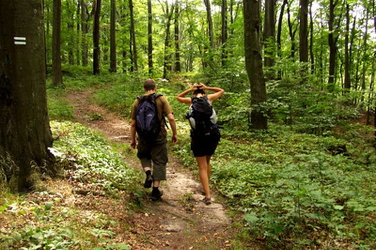 hiking with friend image by sarssa from Fotolia.com Build wooden stairs to aid in the hiking process.