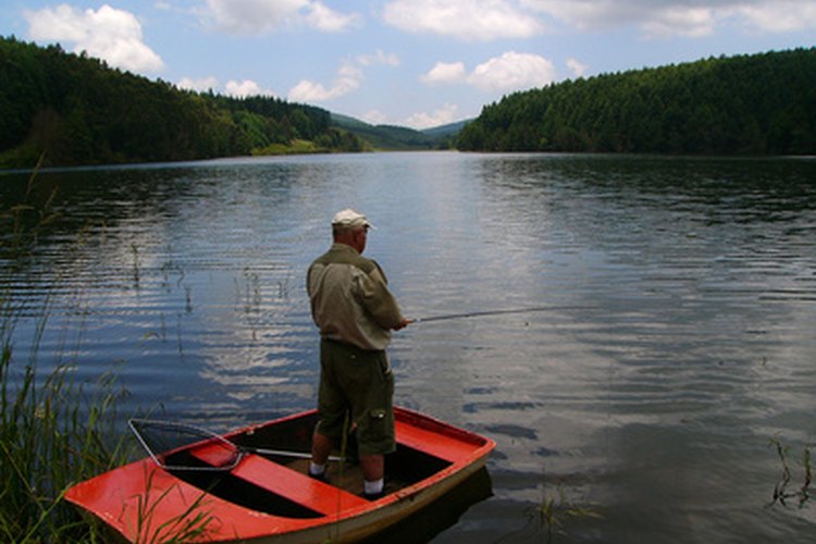 An angler fishing image by Elzbieta Sekowska from Fotolia.com Spincast reels are designed to be easy to use and maintain.