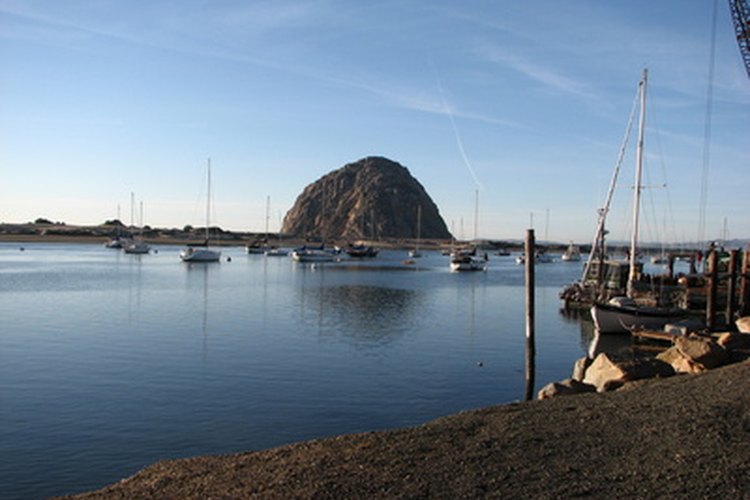 morro bay rock image by Janet Wall from Fotolia.com South of Morro Bay, Calif., is where most rock crabs are caught.