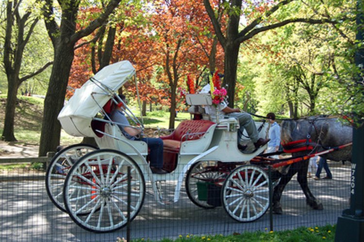 Horse Drawn Carriage Types