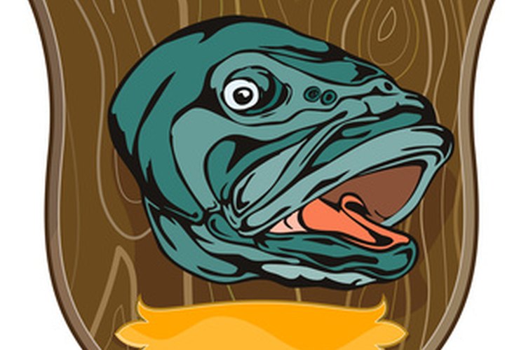 Largemouth bass image by patrimonio designs from Fotolia.com Vary your bass fishing strategy based on the weather. If it's cold, go deep; if it's warm, go shallow.