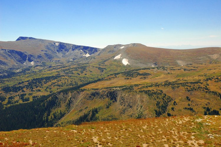 tundra image by Brett Bouwer from Fotolia.com Alpine tundra