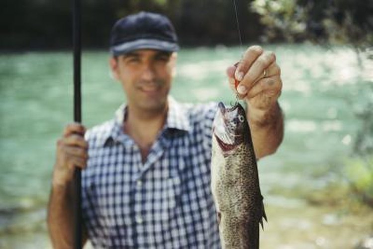 diego_cervo/iStock/Getty Images Six major species of trout are native to North America.