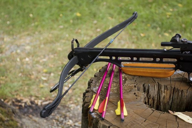 VIPDesignUSA/iStock/Getty Images You may use a crossbow to hunt most animals in Texas.