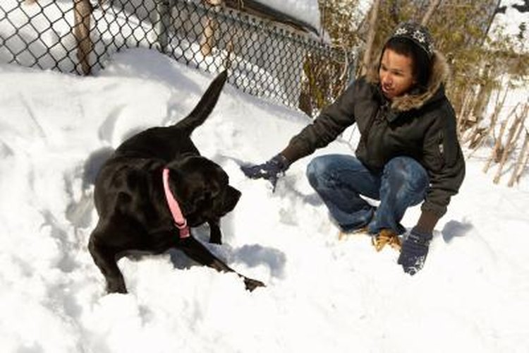 Jupiterimages/Photos.com/Getty Images A good parka lets you play in the frigid temperatures.