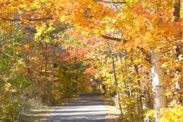 Photos.com/AbleStock.com/Getty Images Ask your local parks and recreation department about walking-trail funding.