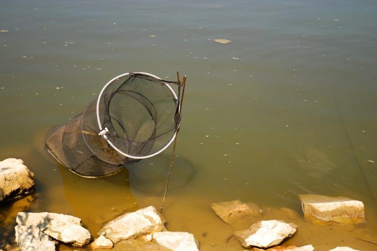 Mariusz rafal Jurkowski/Hemera/Getty Images A hoop net can help you have a successful day on the water.