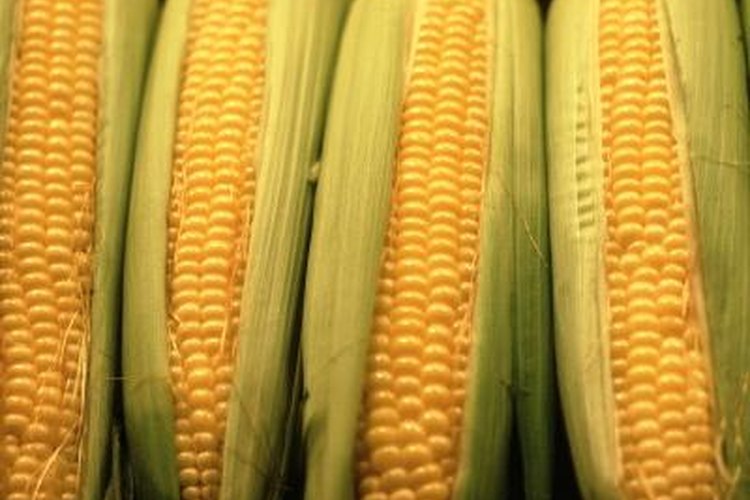 Corn