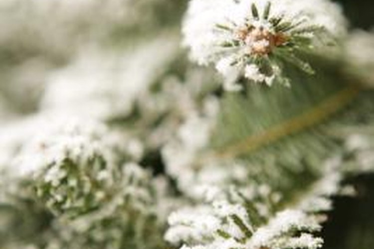 Thinkstock/Comstock/Getty Images Fifty0degree weather is too warm for snow, but temperatures may drop quickly.