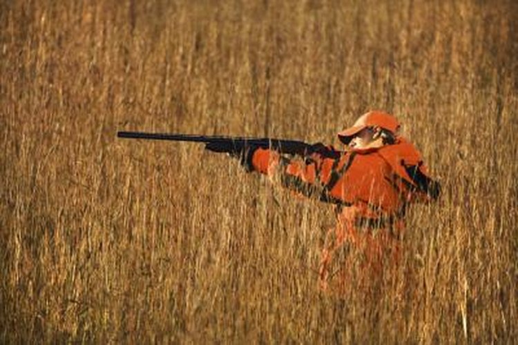 Jupiterimages/Stockbyte/Getty Images A hunter aiming his rifle in a field of tall grass.