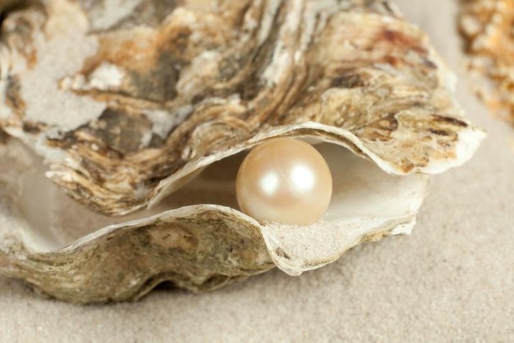 Studio-Annika/iStock/Getty Images A large pearl in an oyster shell on sand.