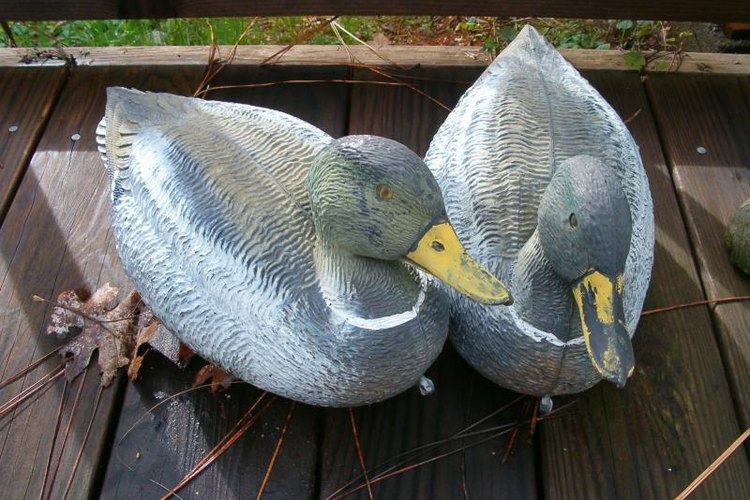 How To Paint Duck Decoys Gone Outdoors Your Adventure Awaits   139747482 XS 