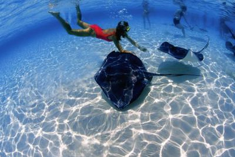 Medioimages/Photodisc/Photodisc/Getty Images Snorkeling allows you to view the scenery underwater.