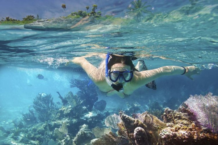 Patryk Kosmider/iStock/Getty Images Clear water and a shallow reef are ideal conditions for snorkeling.