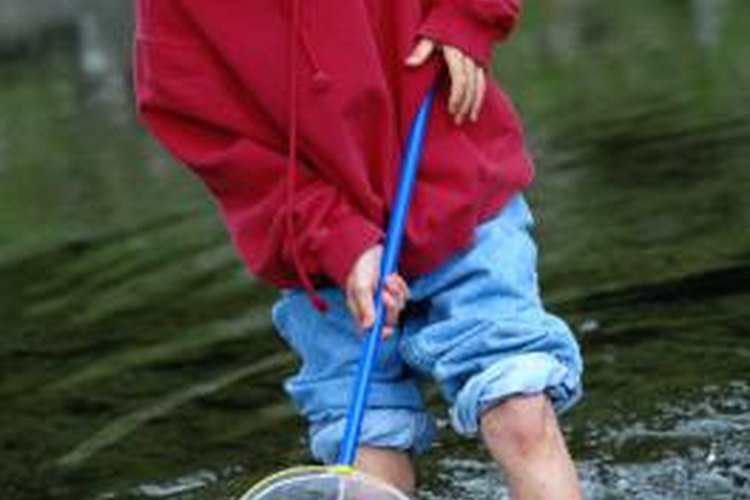 Steve Mason/Photodisc/Getty Images You don't need a net to catch minnows.