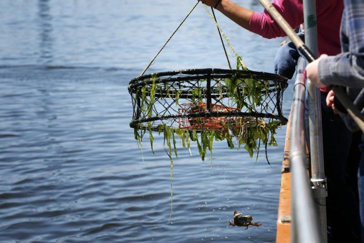 galinast/iStock/Getty Images Crab fishing is a popular activity in Washington.