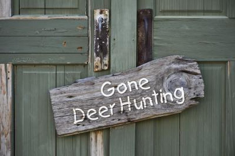 When Is Deer Season in South Carolina? Gone Outdoors Your Adventure