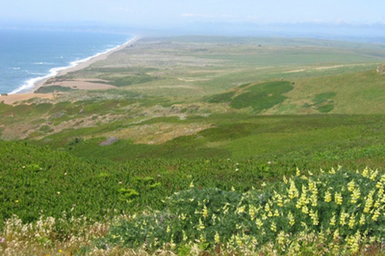 point reyes image by Ary from Fotolia.com Point Reyes is close to San Francisco.