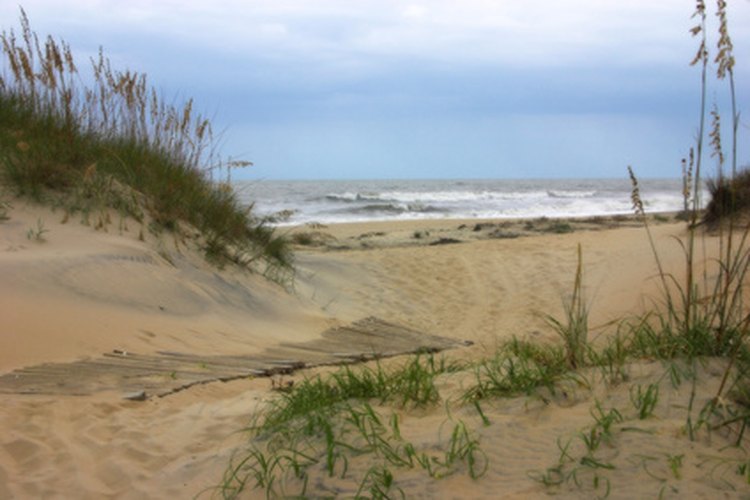 sand dunes and sea grass image by Cindy Haggerty from Fotolia.com Island Beach State Park offers miles of pristine sands, untarnished by modern development.