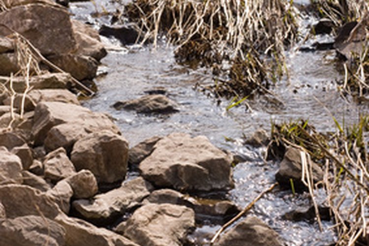 Rocky Stream image by Allen Stoner from Fotolia.com Hacklebarney State Park offers rewarding views if you don't mind a rugged hike.