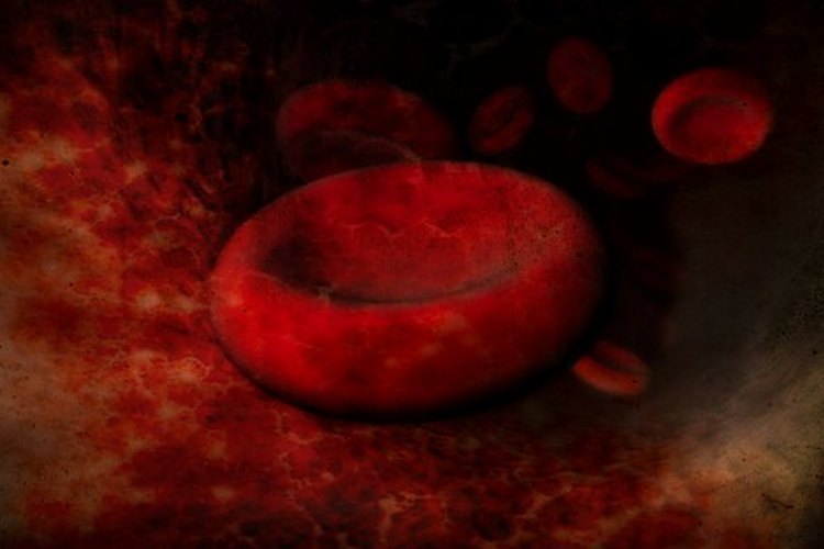 Los tipos de sangre son determinados por los antígenos que portan.