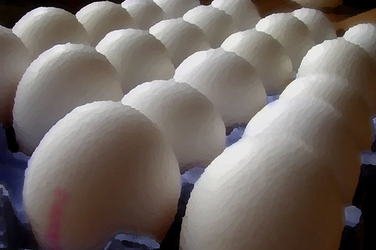 Huevos: fuente perfecta de proteínas.