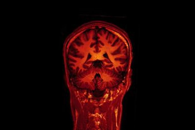 La dopamina y la serotonina son dos neurotransmisores necesarios para muchos aspectos de la conducta humana.