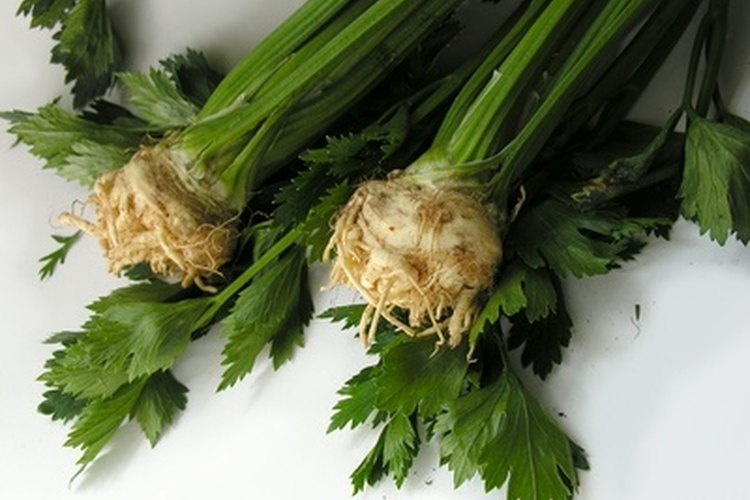 El té de la raíz del diente de león se ha consumido tradicionalmente por los beneficios para la salud, pero se lo debe beber con cuidado.