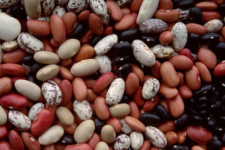 La proteína es necesaria para la salud.