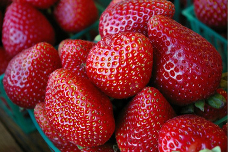 Las fresas frescas, congeladas y en conserva pueden variar en la cantidad de azúcares.