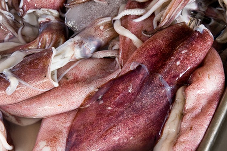 Los calamares y otros moluscos se pueden comer con seguridad durante el embarazo.
