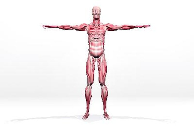 Síntomas de un desgarro muscular.