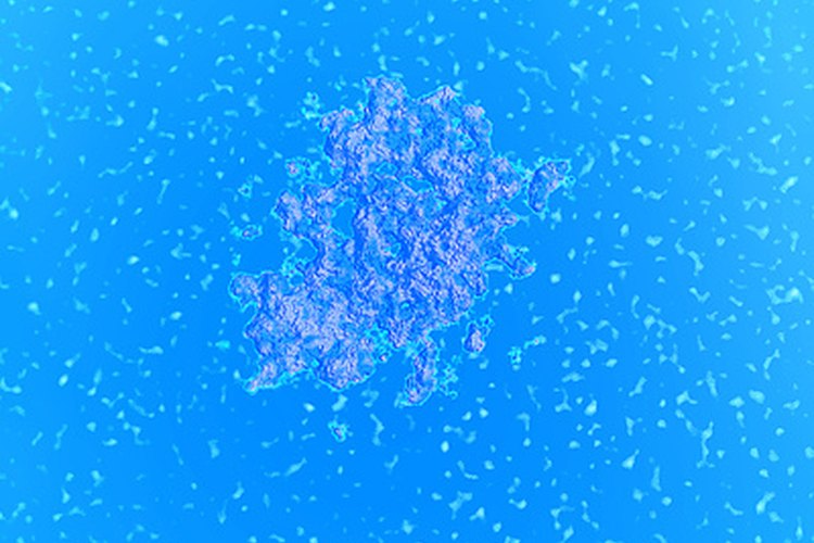 Las bacterias pueden contaminar los alimentos y en última instancia conducir a la intoxicación alimentaria.