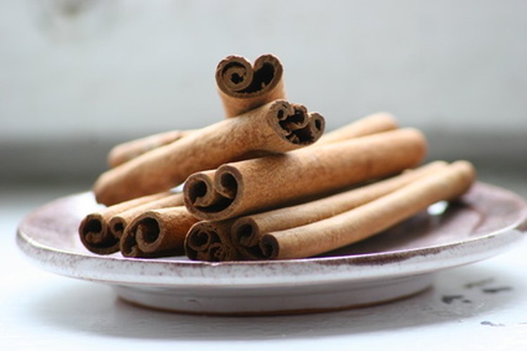 La corteza de canela utilizada en alimentos es segura durante el embarazo, pero evita dosis más altas.