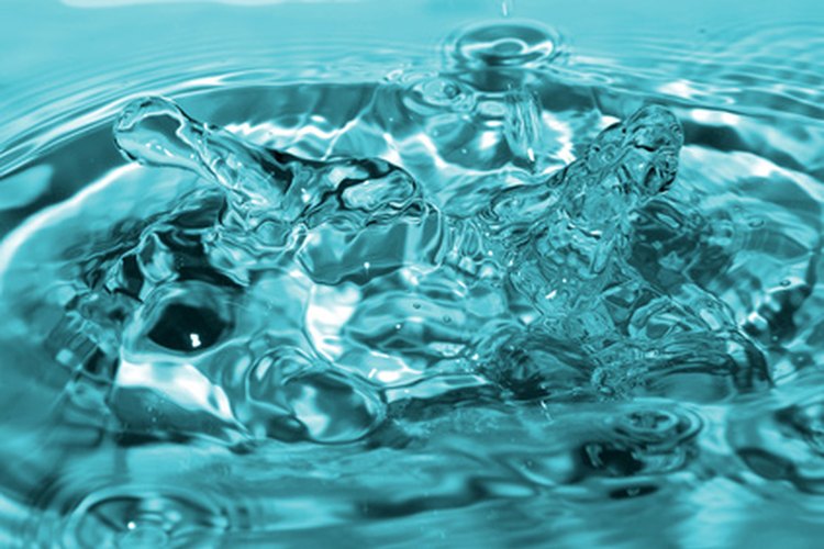 El agua es el nutriente más importante del cuerpo.