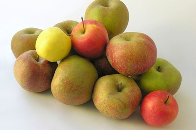 Las manzanas pueden ser una adición bienvenida en cualquier dieta para diabéticos.